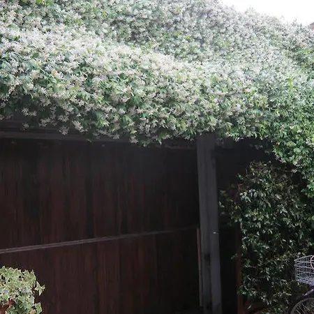 Casa Di Carlo Goldoni - Dimora Storica Chioggia